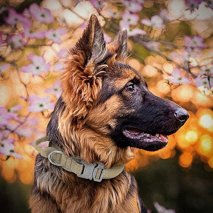 Military Tactical Dog Collar Leash German Shepard Medium Large Dog Collars Lead for Walking Training Dog Collar Control Handle Yellow M
