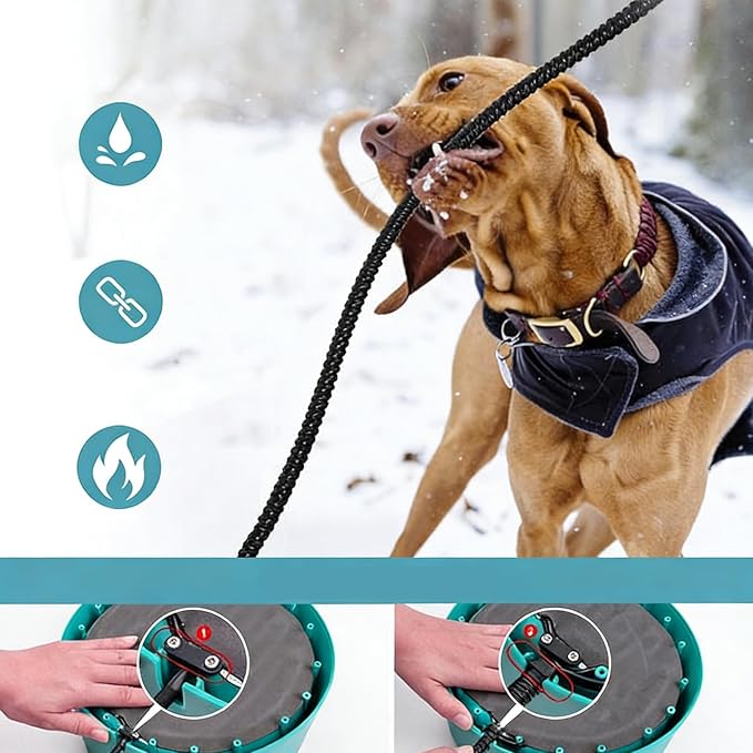 Pet Water Bowl, Large Capacity Heated Feeder Dish, Automatic Heated Water Bowl for Cats Dogs, for Small Medium Large Puppies Chickens Birds Indoor Outdoor Garden Yard Controlled Drinking for Pets