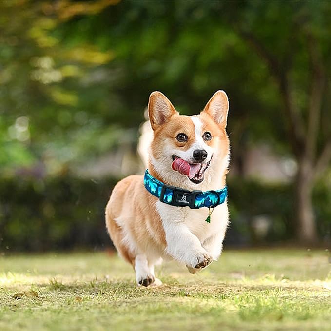 Lionheart glory Dog Collar Green Cute Collar for X-Small Dogs Spring Summer Female or Male Collars Pet Gift Adjustable Heavy-Duty Puppy Collars