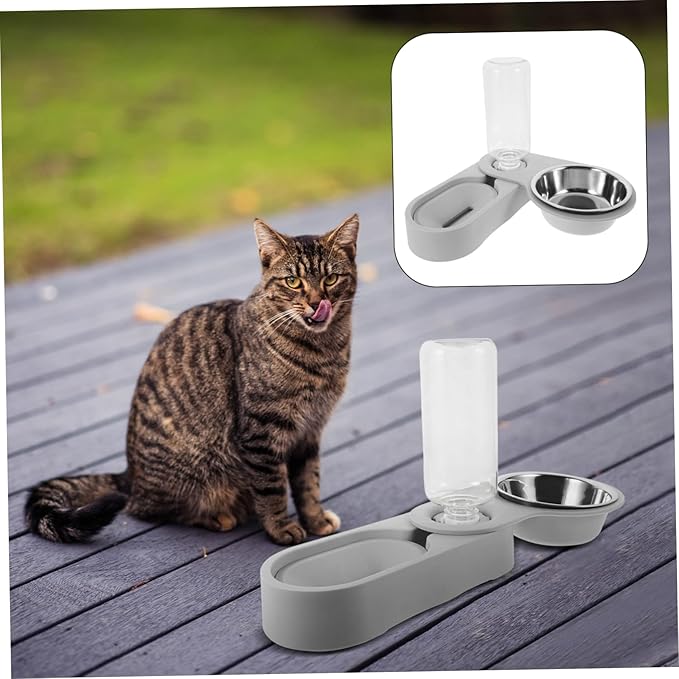 Stainless Steel Cat Bowl Elevated Cat Feeder Tilted Pet Bowl and Automatic Water Container