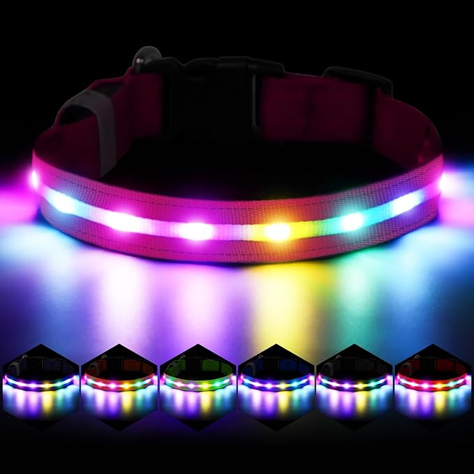 Light Up Dog Collar, USB Rechargeable 6 Modes, Waterproof Charging Port, Long Lasting LED Collar - Adjustable Nylon Reflective for Dogs, Sizes S/M/L (7/9/11 Lights) - 5 Colors (Pink, L)
