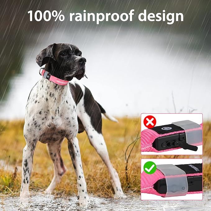 MASBRILL Rechargeable LED Dog Collar - Water-Resistant, Light Up, Flashing, Glowing for Night Safety - Adjustable Illuminated (S, Pink)