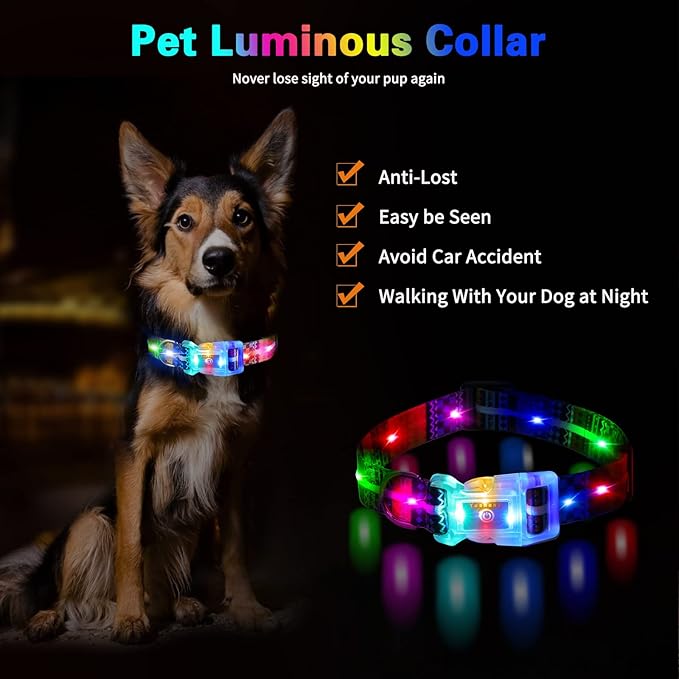 Light Up Dog Collars,LED Dog Collar Rechargeable Waterproof,2-in-1 Buckle Type Glow Collar for Medium Large Dogs- M(10-17 * 0.98 inch can be Crop)