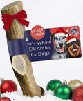 Devil Dog Pet Co. Elk Antlers for Dogs, Beast 10"+, 1 Pack, Grade A Long Lasting Chew for Aggressive Chewers, Premium USA Naturally Shed Antler – Healthy, No Odor, Durable Dog Chew