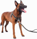No Pull Dog Harness Freedom Walking, Easy Walk with Front and Back Stainless D-Rings, Sewn-in Instructions Tags for Easy Use, for Medium/Large Dogs Weight 40-60 lbs (Black, Med/Large)