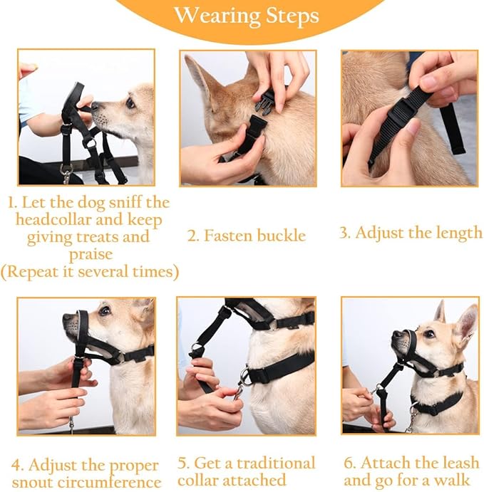 BARKLESS Head Collar for Dogs, No Pull Dog Nose Leash for Small Medium and Large Dogs, Dog Head Halter That Prevent Pulling for Easy Control on Walks (M (Snout 6 ¾-8 ¾"), Black)
