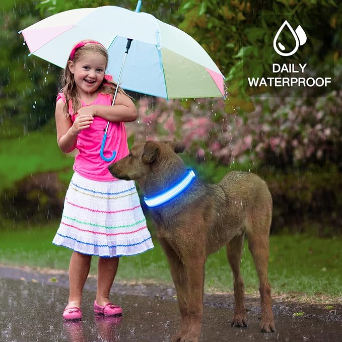 YFbrite Light up Dog Collar, USB Rechargeable LED Puppy Collar Super Bright Adjustable Glowing Dog Lights for Night Walking (Design-2- Blue, Small)
