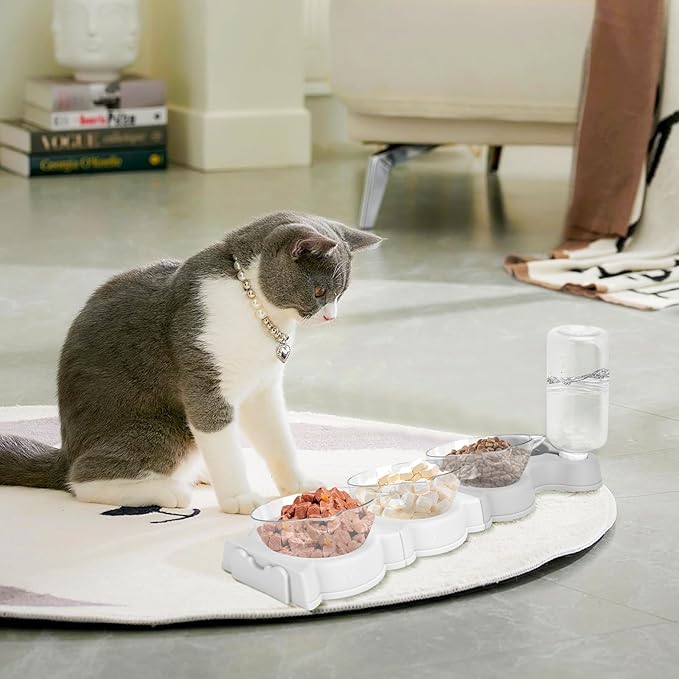Yummy Sam Raised Four Cat Dishes for Food and Water, 15° Tilted 4 in 1 Small Pet Feeding Bowls Set with Automatic Water Bottle and Triple Food Bowls, Pet Feeder for Small Medium Pets Dog Puppy Cats