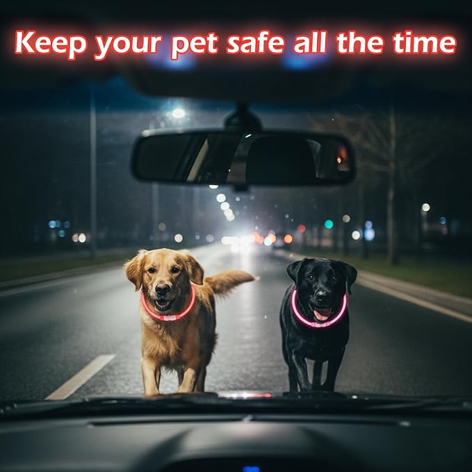 Rechargeable Reflective Pet Gear LED Dog Collar Light Up, Flashing Glowing Illuminated Collar for Night Walking, Neon Pet Collar with Light for Small/Medium/Large Dogs (Red, 1-Pack)