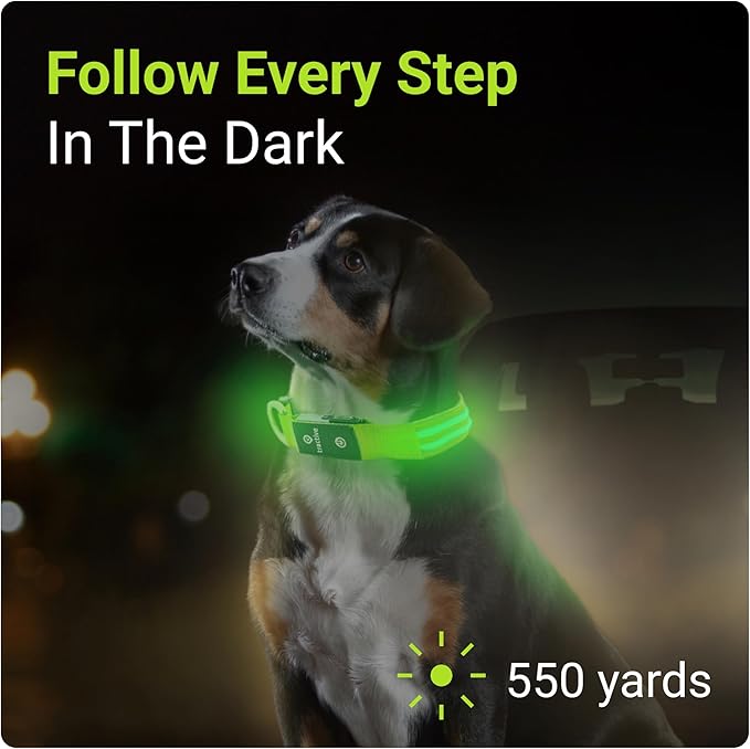 Tractive LED Light Up Dog Collar USB Rechargeable Waterproof (Green)