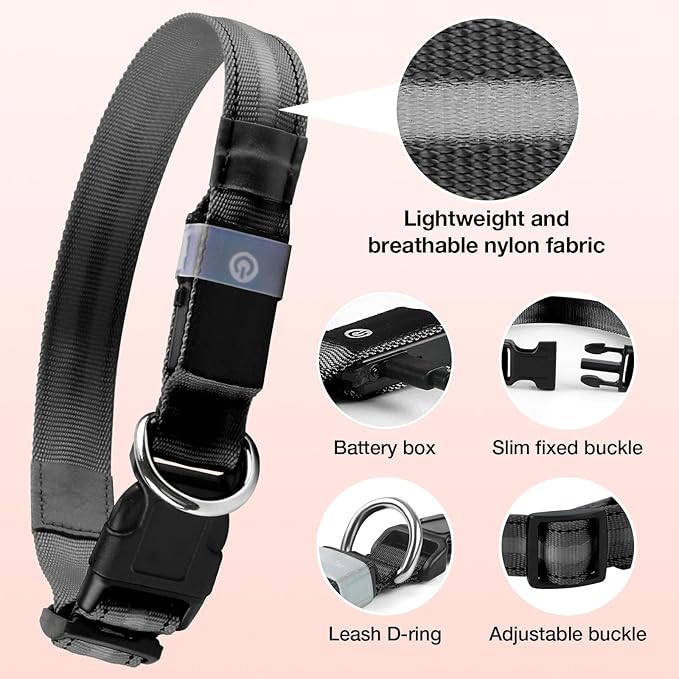 Light Up Dog Collar, USB Rechargeable 6 Modes, Waterproof Charging Port, Long Lasting LED Collar - Adjustable Nylon Reflective for Dogs, Sizes S/M/L (7/9/11 Lights) - 5 Colors (Black, M)