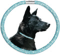 Stylish and Luxurious Diamond Dog Collar,Magnetically Clasp,Full Diamond Design,Perfect for Wedding and Everyday Walking - Blue Diamons Necklace Collar for Medium Large Dogs,22''