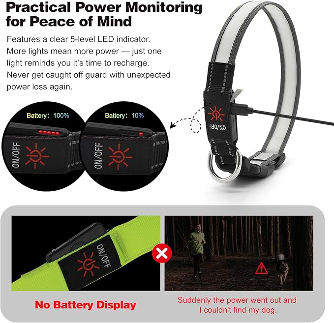 Light Up Dog Collar, Multicolor LED Dog Collar with 7 Lighting Modes - USB-C Rechargeable, Real-Time Battery Indicator, Waterproof & Adjustable Glow Collar for Safe Night Walks (S)