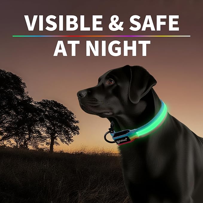 Premium LED Dog Collar for Night Walking - Light up Dog Collar Cycle 7 Solid Colors - Lighted Dog Collars USB C Rechargeable - Waterproof Glow in The Dark Dog Collars - Adjustable, Fashion, Safety(S)