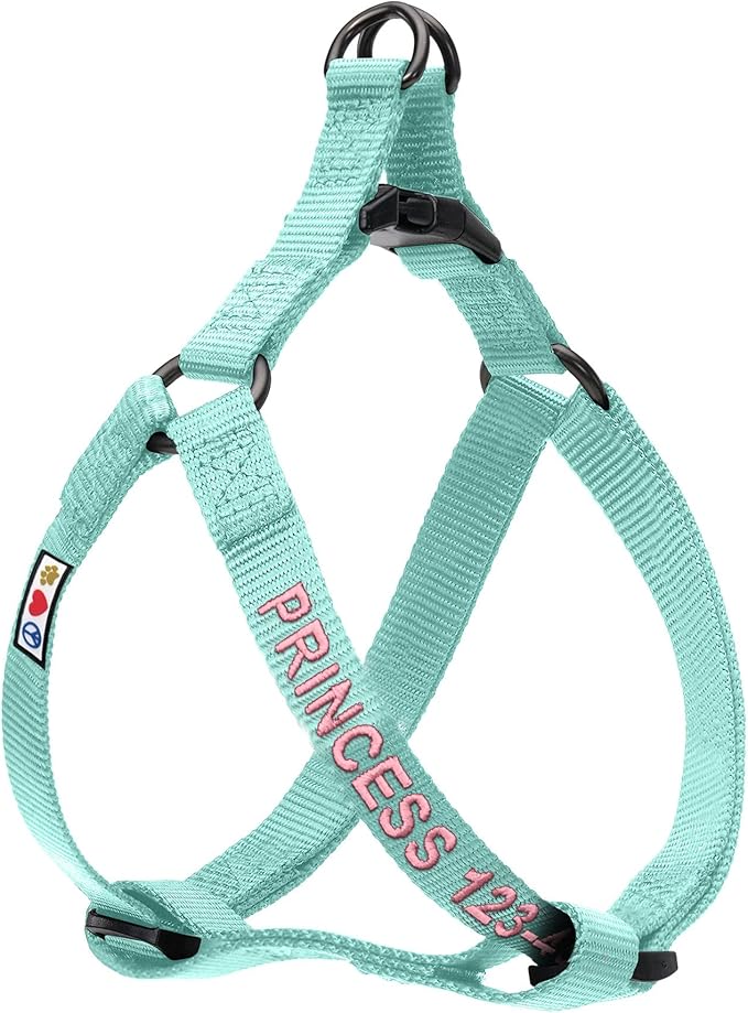 Pawtitas Personalized Dog & Puppy Harness Medium Teal Custom ID Tag Adjustable No Pull Vest