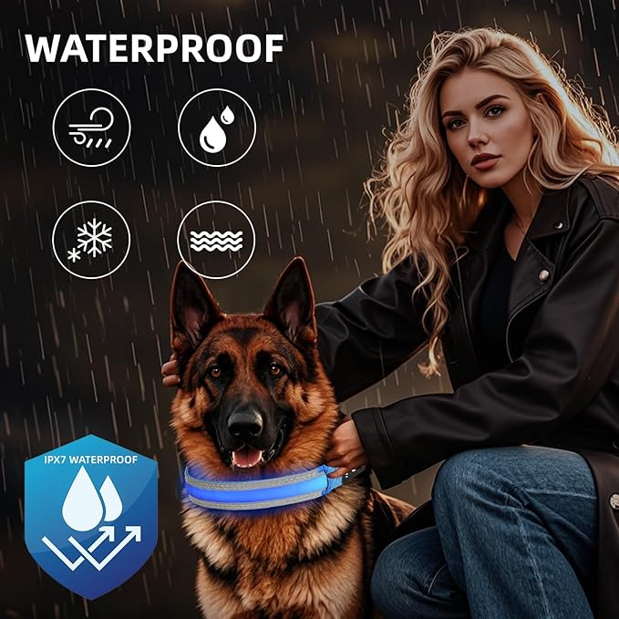 PetIsay LED Dog Collar Metal Buckle - Heavy Duty Light up Collars - Rechargeable IP68 Waterproof - Lighted Dog Collar for Night Walking, Hiking, Camping (Large, Blue)