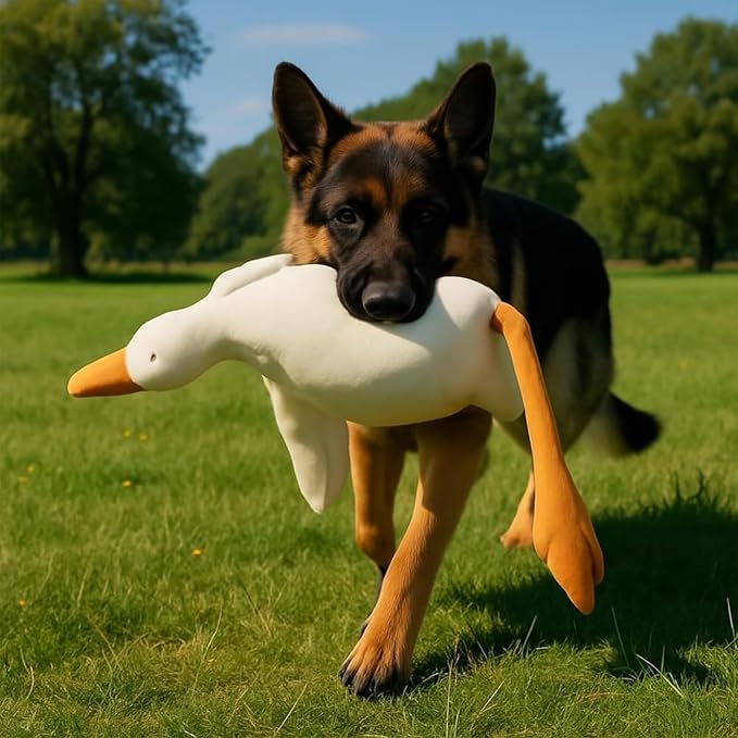 Large Plush White Duck Dog Toy, Goose Dog Toy, Squeaky Dogs Toy for Medium & Large Dogs, Soft Stuffed Duck Chew Toy for Chewing, Fetch, Training & Indoor Play (50cm/19.69in)