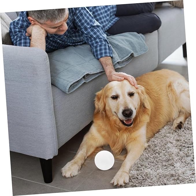 BESPORTBLE Dog Training Scent Tool for Nose Work Scent Games and Service Dog Training for Improved Engagement and During