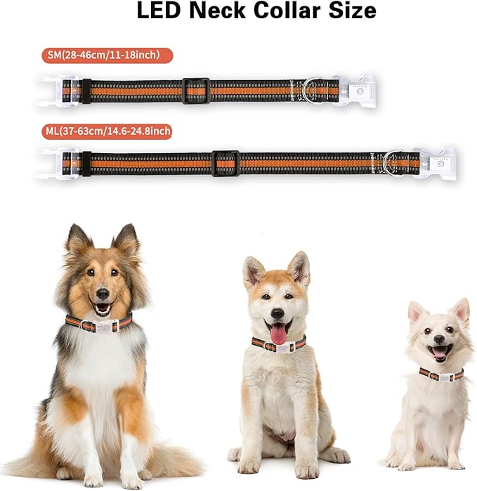 Buckle Glow Dog Collar Light,Adjustable Flashing LED Dog Collar Rechargeable Waterproof,Light Up Dog Collars Lights for Medium,Large Dogs- ML(Neck:14.17-24.8")