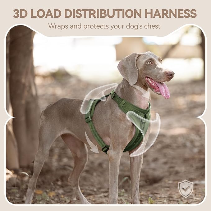 No Pull Dog Harness with Lycra, Three-Point Force Dispersion & 3D Padding, Adjustable Breathable Mesh for Small Medium Large Dogs(Misty Green,M)