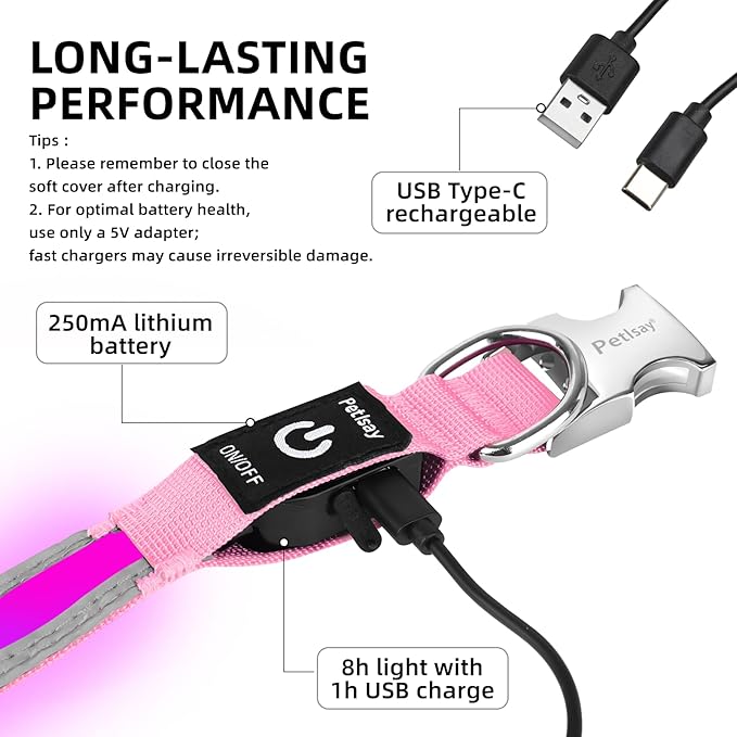 PetIsay LED Dog Collar Metal Buckle - Heavy Duty Light up Collars - Rechargeable IP68 Waterproof - Lighted Dog Collar for Night Walking, Hiking, Camping (Large, Pink)