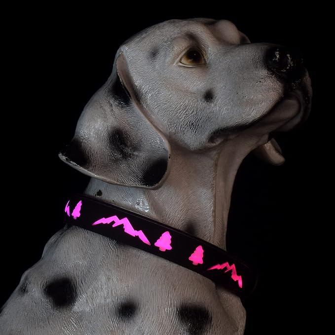 LED Dog Collar, 15 Light Modes, USB-C Rechargeable, Silicone Material, Adjustable Size, (Black, XL(19.7-23.6"))