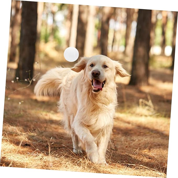 Dog Training Scent Tool Scent Training for Nose Work and Agility Games User-Friendly Design for Service Dogs