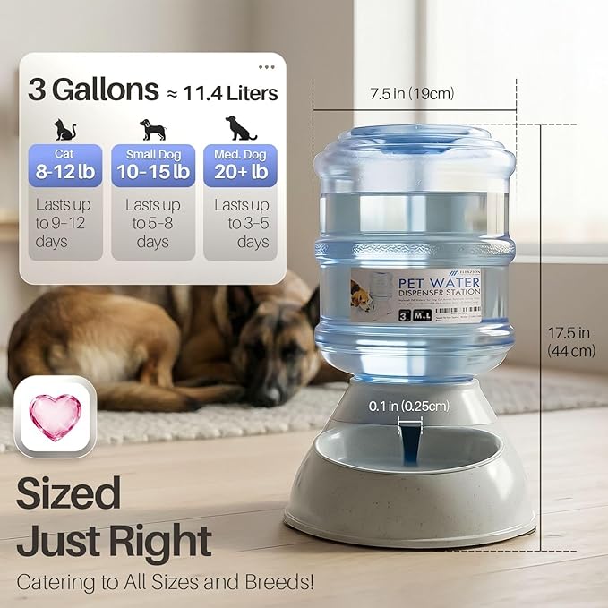 Flexzion Automatic Pet Feeder & Waterer Set of 2 Pack, Self Feeding Replenish Dog Cat Bowls, Gravity Food & Water Storage Container Fountain Jug Pet Supplies Plastic Skid Proof Rubber Feet (3 Gallon)