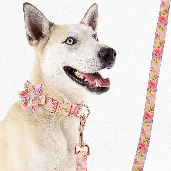 Rhinestone Personalized Dog Collar Leash Set Flower Printed Customized Pet Collar Puppy ID Collar for Small Medium Large Dogs Pink Leash 150cm M