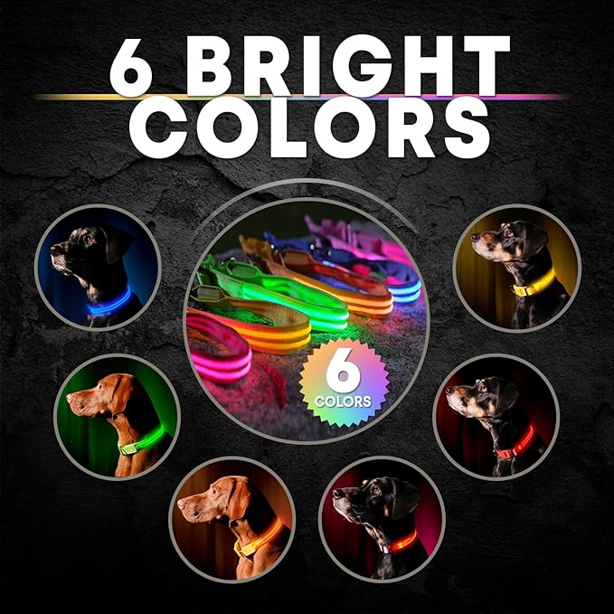 ILLUMISEEN LED Dog Collar USB Rechargeable - Bright & High Visibility Lighted Glow Collar for Pet Night Walking - Weatherproof, in 6 Colors & 6 Sizes (Green X-Small)
