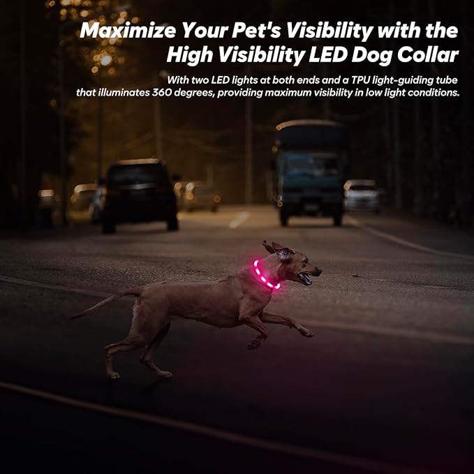 BSEEN Light Up Dog Collar - 2 Pack LED Dog Collar Rechargeable, Silicone Cuttable Glow in The Dark Dog Collar Light, Flashing Safety Dog Lights for Night Walking (Pink+Blue)