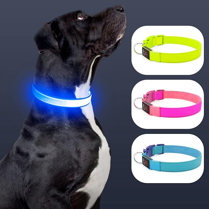 Only Half The Collar Lights LED Dog Collar Light Up Dog Collars USB Rechargeable, Adjustable Size Heavy Duty TPU Nylon Webbing Glow Safety Basic Dog Collars for Large Medium Dogs(L, Royal Blue)