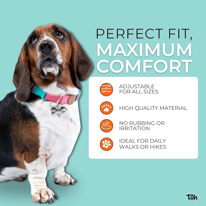 Adjustable Dog Collar with ID Tag – Soft Polyester, Quick Release Buckle – Durable, Waterproof, Cute Dog Collar – Puppy Collar, Stylish Pet Accessories (Lilac, XSmall)