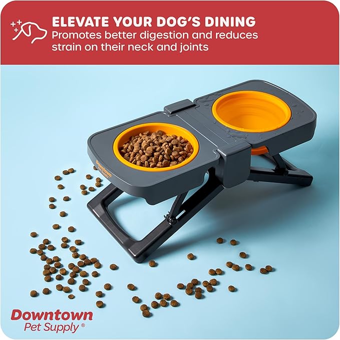Downtown Pet Supply Raised Dog Bowl - Portable Feeder for Travel - Collapsible Silicone Design - 5 Cups Capacity - Lightweight Pet Feeder - Ideal for Small, Medium & Large Dogs - Dog Feeding Station
