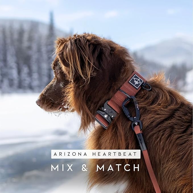 MADE TO ROAM Premium Explorer Leash - Climbing Rope Leash with Autolocking Aviation Aluminum Carabiner - Utah Glow, 6ft