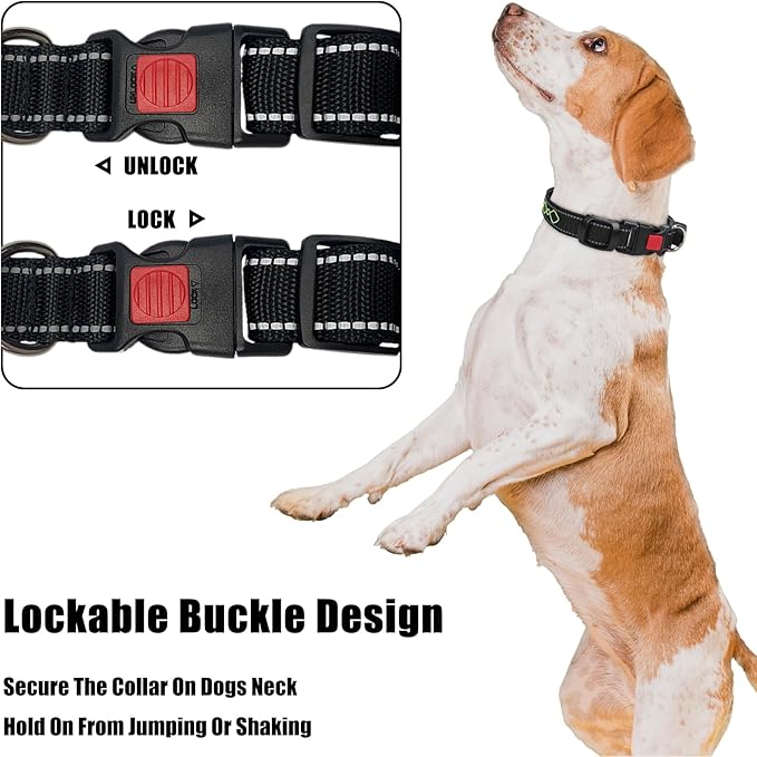 Luwint Stylish Light Up Dog Collar, LED Dog Collar USB Rechargeable - Safety Glow in The Dark for Night Walking & Camping | Adjustable, Waterproof, High Visibility Green