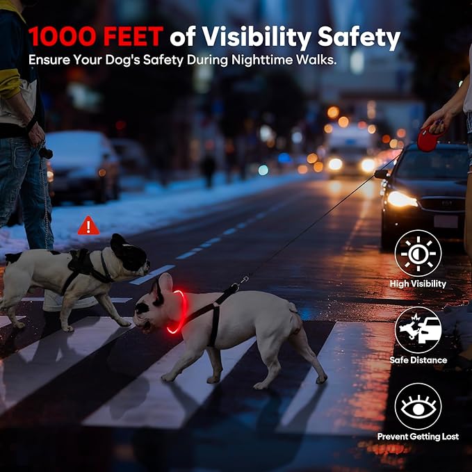 LED Dog Collar, Light Up Dog Collars USB Rechargeable for Night Walking-Fashion TPU Glowing Safety Pet Collar Lights for Small Dogs Cat (Red)