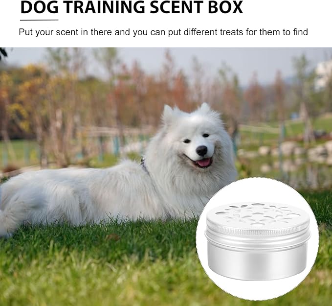 BESPORTBLE 10pcs Dog Scent Training Cases Holder for Nose Work Scenting Tool for Dogs for Behavioral Training and Engaging Pet Curiosity