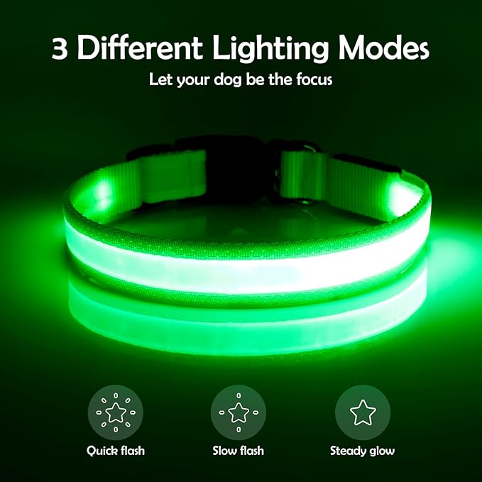 Vizpet LED Dog Collar, Light Up Dog Collar Adjustable USB Rechargeable Super Bright Safety Light Glowing Collars for Dogs(Large,Green)