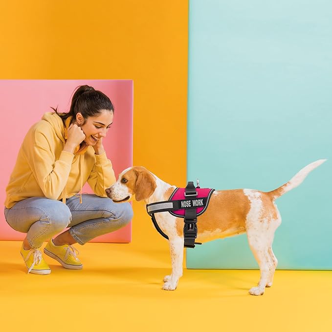 Dogline Vest Harness for Dogs and 2 Removable Nose Work Patches, X-Small/15 to 19", Pink