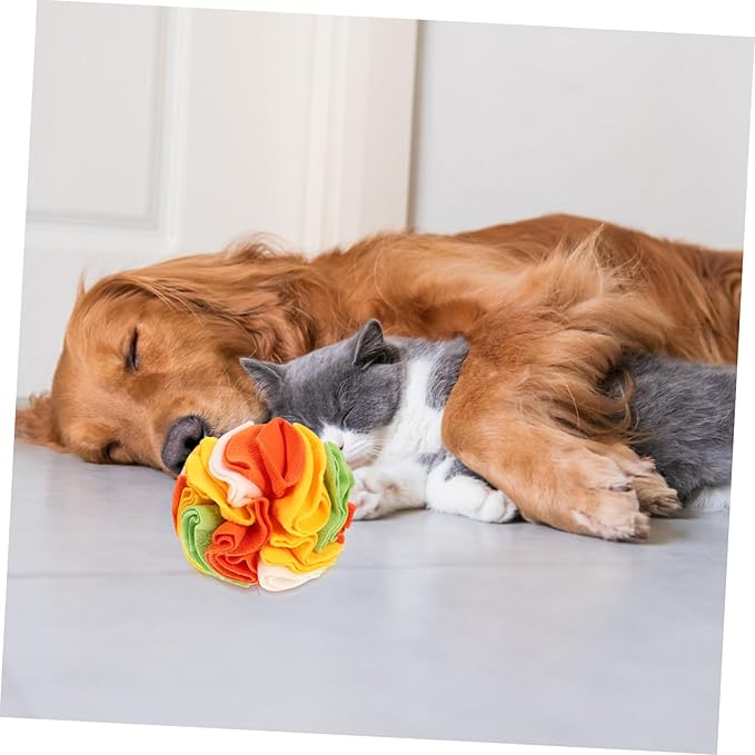 Garneck Upgraded Dog Sniffing Ball Interactive Training Toy for Dogs Slow Eating Ball Nose Work PET Toy for Puppies