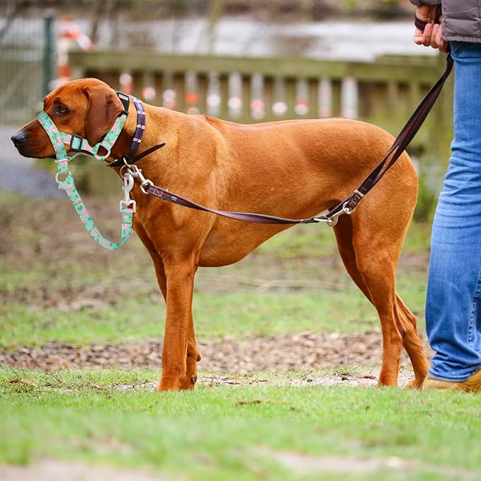 Dog Head Collar, Printed No-Pull Headcollar, Adjustable Dog Head Halter Gentle Lead with Safety Link, 3 Colors Muzzle Leash for Small Medium Large X-Large Dogs Easy Walks (Medium, Peony)