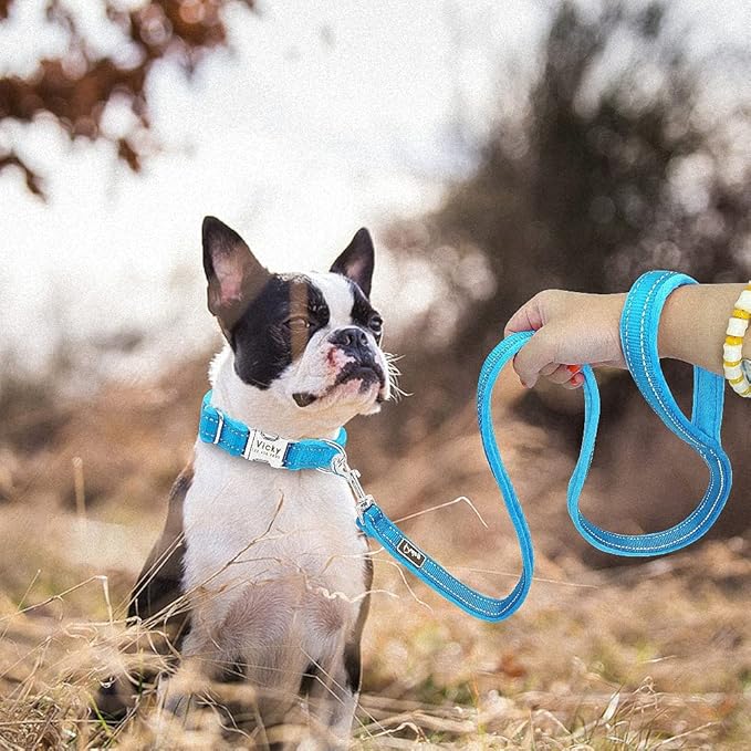 Dog Collar Leash Set Personalized Soft Reflective Dogs Collars Lead Padded for Small Medium Large Dogs French Bulldog Pitbull Blue S