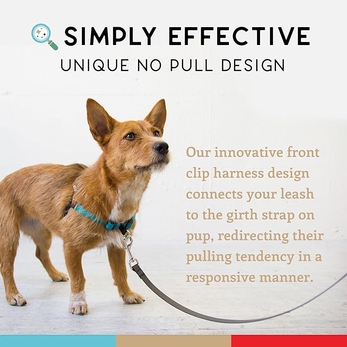 Wildebeest No Pull Dog Harness | Comfortable Training Harnesses | Effective No Pull Harness Design | Ideal for Medium Sized Dog | 4-Point Adjustable(M - 22~28 inch Girth, Turquoise)