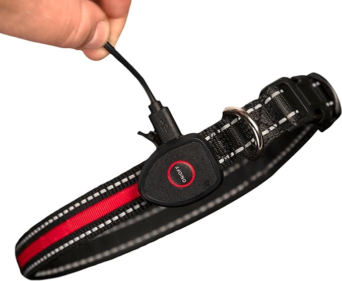 Sherry Kline LED Light-Up Pet Collar - USB Rechargeable - Flashing Glow in The Dark Size Medium, Color: Red