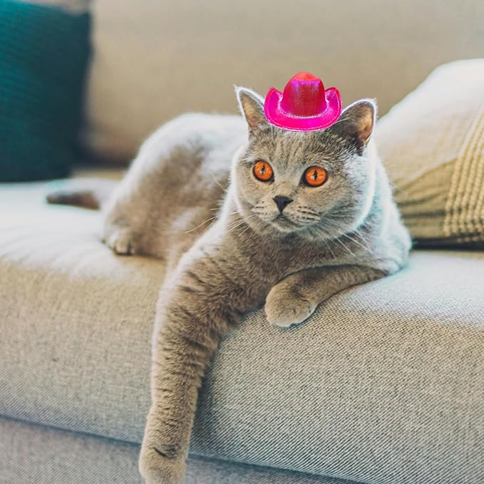 Dog and Cat Cowboy Hat With Bandana Scarf - Mini Pet Costume for Holiday, Halloween, Party Decoration (Rose Red-Style2, Small)
