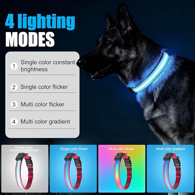 LED Dog Collar Rechargeable- Brightest Light Up Dog Collars - 1,600 Feet of High Visibility - Magnetic Charging - Glow in Dark Dog Lights for Night Walking, Pink L