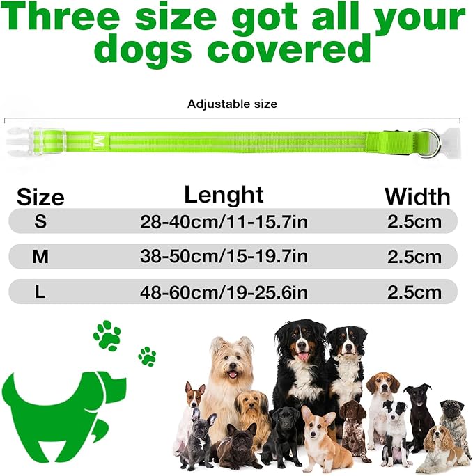 LED Dog Collar, Light Up Dog Collar, Lighted Dog Collars Adjustable for Night Walking, Glow in The Dark Dog Collars Light with USB Rechargeable Color Changing Waterproof for Dogs (Green, Small)