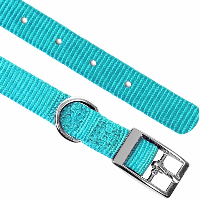 Jeffers Pet Solid Nylon Dog Collars, Turquoise, 8" W x 12" L – Adjustable, Durable & Safe for Dogs, Lightweight & Double Ply Design, Stylish Pet Accessories - Perfect for Training, Walking & Tracker