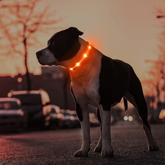 MASBRILL Led Dog Collar, Rechargeable Water-Resistant Flashing Glowing Night Safety Adjustable Illuminated Collar